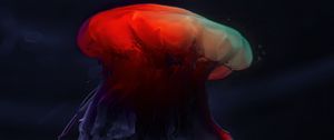 Preview wallpaper jellyfish, underwater world, beautiful, dark