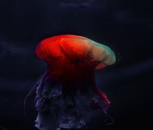 Preview wallpaper jellyfish, underwater world, beautiful, dark