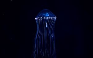 Preview wallpaper jellyfish, underwater world, dark, tentacles