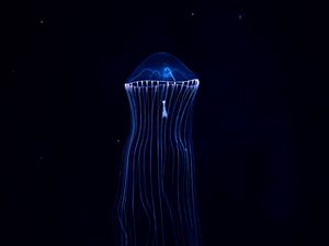 Preview wallpaper jellyfish, underwater world, dark, tentacles