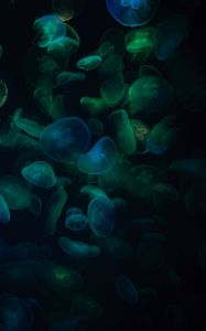 Preview wallpaper jellyfish, underwater world, dark, transparent