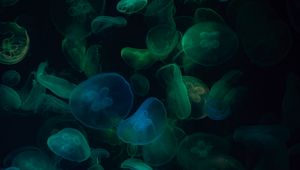 Preview wallpaper jellyfish, underwater world, dark, transparent