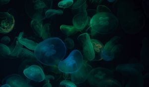 Preview wallpaper jellyfish, underwater world, dark, transparent