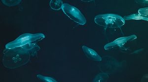 Preview wallpaper jellyfish, underwater world, dark