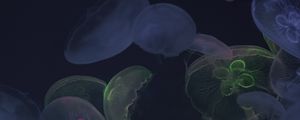 Preview wallpaper jellyfish, underwater world, dark, glow