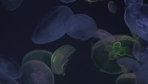 Preview wallpaper jellyfish, underwater world, dark, glow