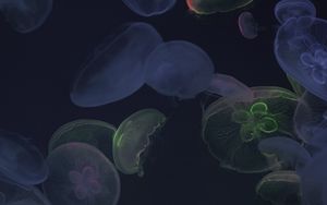 Preview wallpaper jellyfish, underwater world, dark, glow