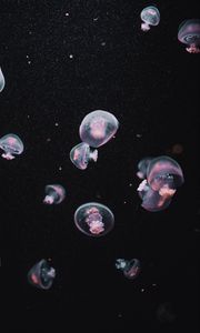 Preview wallpaper jellyfish, underwater world, dark, aesthetics