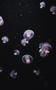 Preview wallpaper jellyfish, underwater world, dark, aesthetics