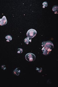 Preview wallpaper jellyfish, underwater world, dark, aesthetics