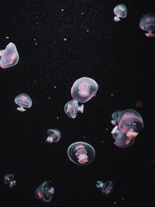 Preview wallpaper jellyfish, underwater world, dark, aesthetics