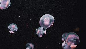 Preview wallpaper jellyfish, underwater world, dark, aesthetics