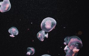 Preview wallpaper jellyfish, underwater world, dark, aesthetics