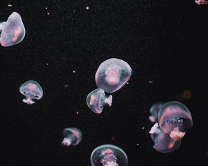 Preview wallpaper jellyfish, underwater world, dark, aesthetics