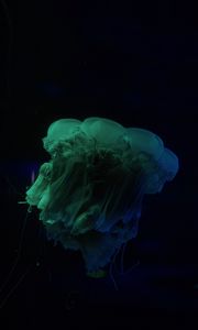 Preview wallpaper jellyfish, underwater world, dark, tentacle