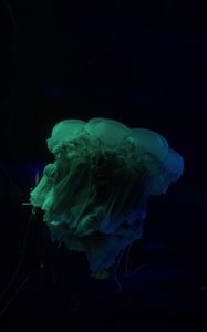 Preview wallpaper jellyfish, underwater world, dark, tentacle