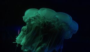 Preview wallpaper jellyfish, underwater world, dark, tentacle