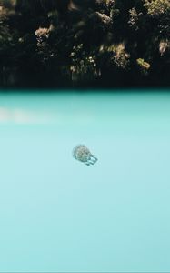 Preview wallpaper jellyfish, underwater world, depth, water, blue