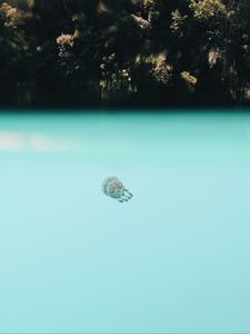 Preview wallpaper jellyfish, underwater world, depth, water, blue