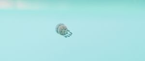 Preview wallpaper jellyfish, underwater world, depth, water, blue