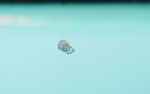 Preview wallpaper jellyfish, underwater world, depth, water, blue