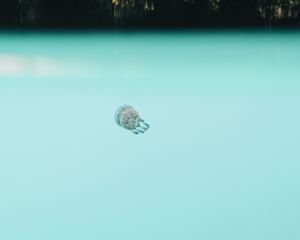 Preview wallpaper jellyfish, underwater world, depth, water, blue