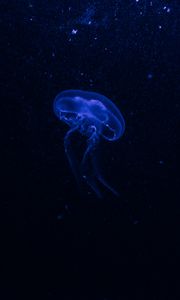 Preview wallpaper jellyfish, underwater world, glow, phosphorus, hydro-jellyfish, dark, blue