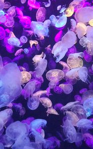 Preview wallpaper jellyfish, underwater world, glow, neon, phosphorus