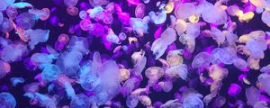 Preview wallpaper jellyfish, underwater world, glow, neon, phosphorus