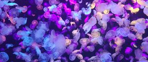 Preview wallpaper jellyfish, underwater world, glow, neon, phosphorus