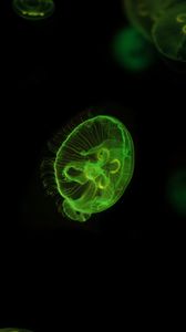 Preview wallpaper jellyfish, underwater world, green, glow, swim