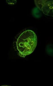 Preview wallpaper jellyfish, underwater world, green, glow, swim