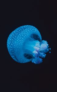 Preview wallpaper jellyfish, underwater world, spots, tentacles