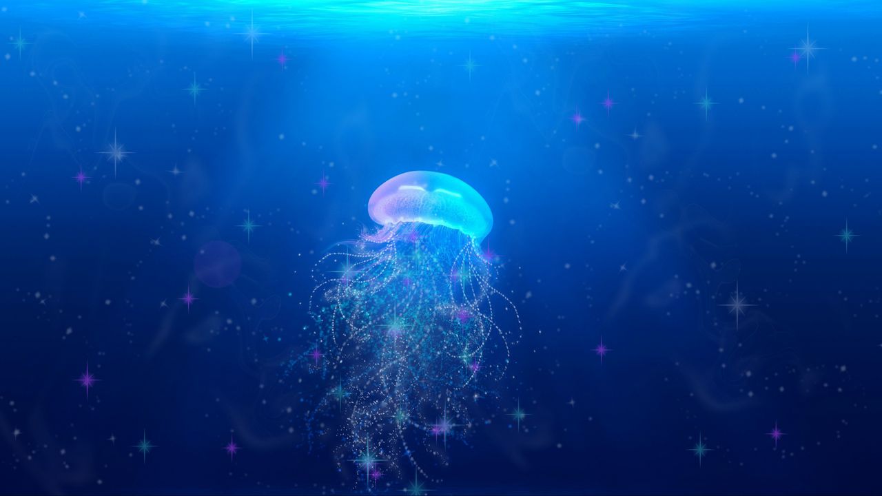 Wallpaper jellyfish, underwater world, swim, tentacles