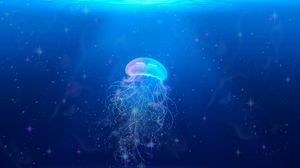 Preview wallpaper jellyfish, underwater world, swim, tentacles