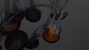 Preview wallpaper jellyfish, underwater world, swimming, tentacles, dark, glow