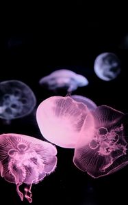 Preview wallpaper jellyfish, underwater world, tentacle, black