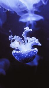 Preview wallpaper jellyfish, underwater world, tentacles, purple, spots