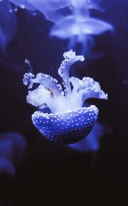 Preview wallpaper jellyfish, underwater world, tentacles, purple, spots