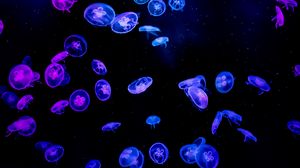 Preview wallpaper jellyfish, water, black, glow