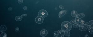 Preview wallpaper jellyfish, water, underwater, gray