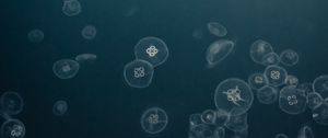 Preview wallpaper jellyfish, water, underwater, gray