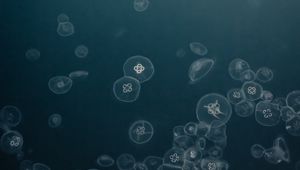 Preview wallpaper jellyfish, water, underwater, gray