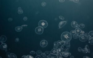 Preview wallpaper jellyfish, water, underwater, gray