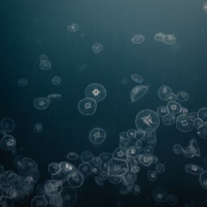 Preview wallpaper jellyfish, water, underwater, gray