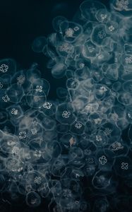 Preview wallpaper jellyfish, water, underwater, macro