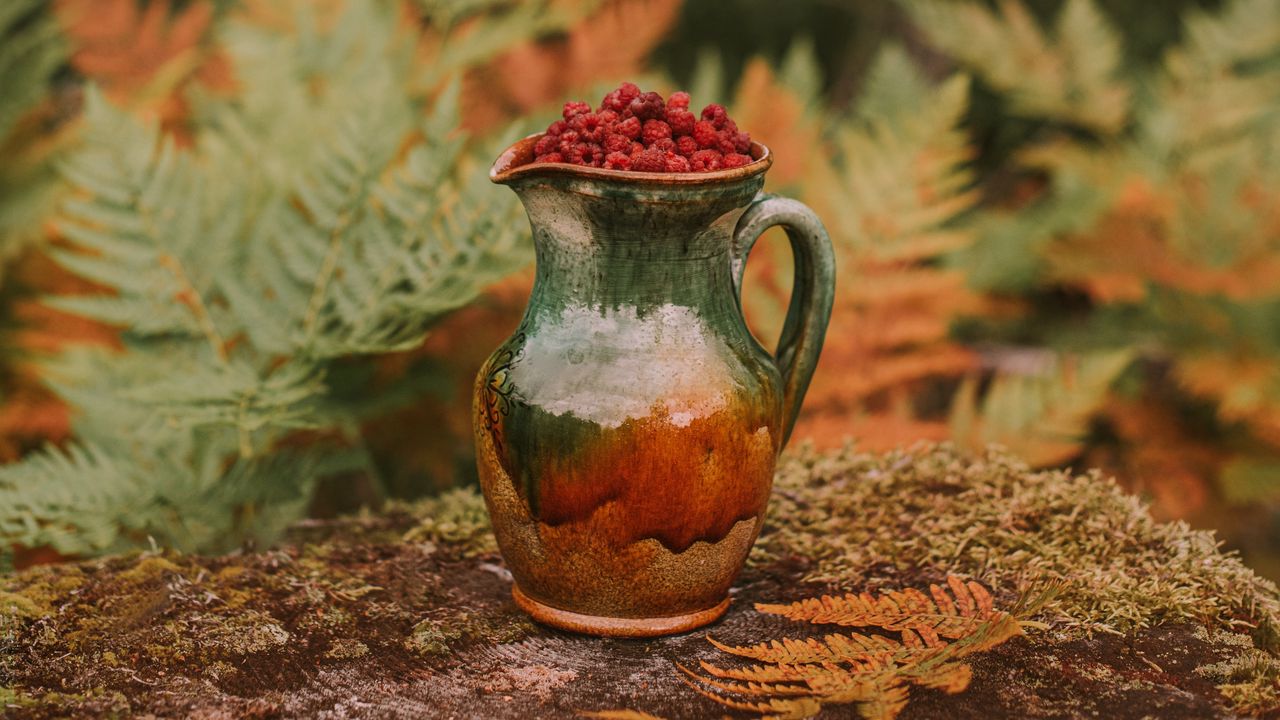 Wallpaper jug, raspberries, berries, nature, autumn