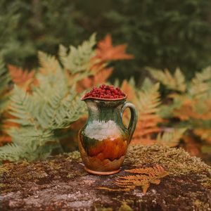 Preview wallpaper jug, raspberries, berries, nature, autumn