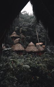 Preview wallpaper jungle, palm trees, huts, houses, tropics