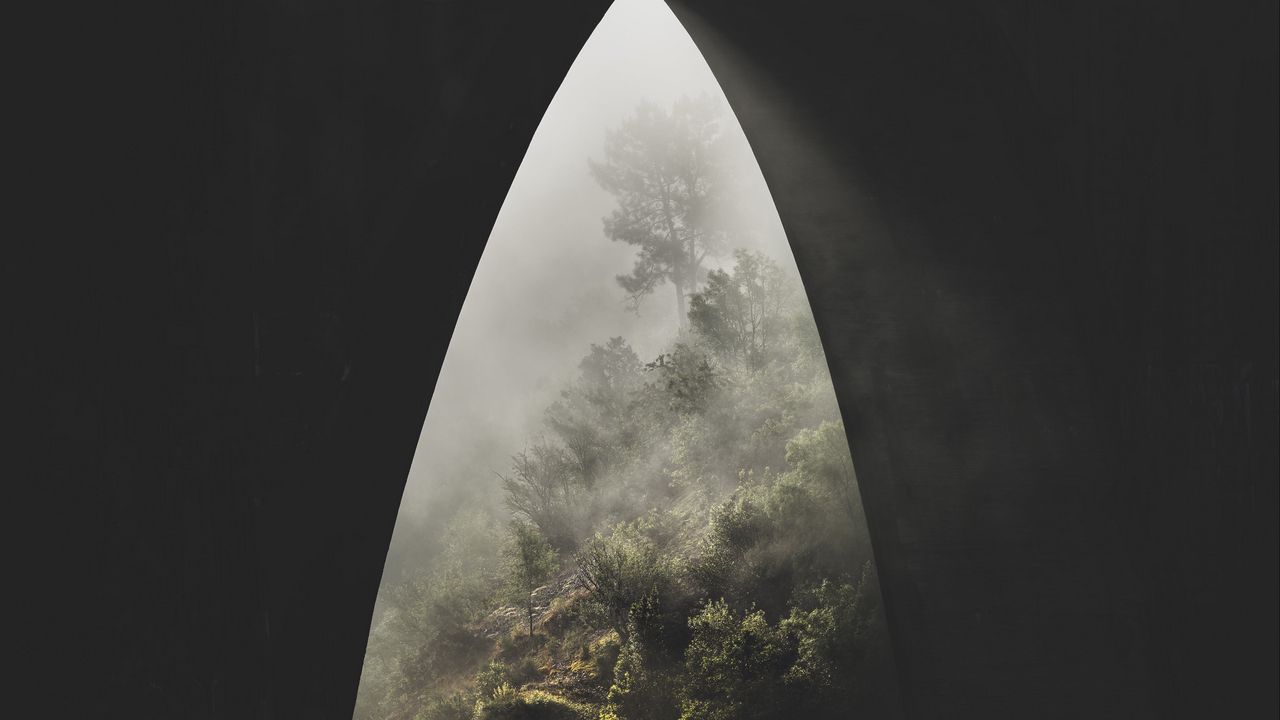 Wallpaper jungle, trees, fog, view
